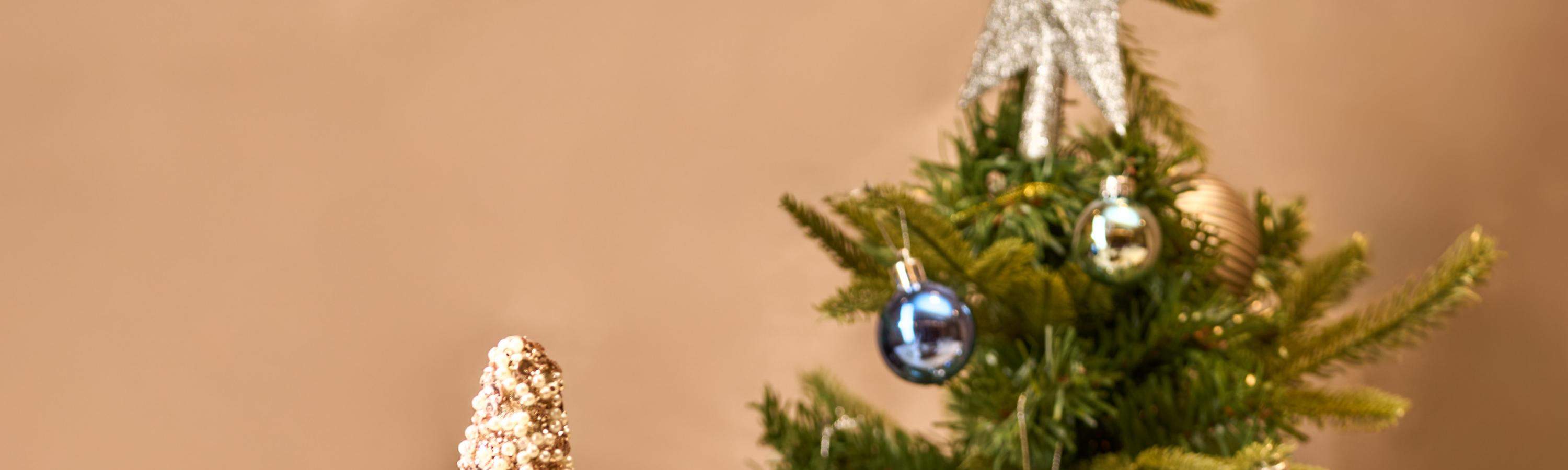 Gambar rujukan menu Malam Krismas